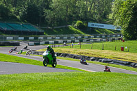 cadwell-no-limits-trackday;cadwell-park;cadwell-park-photographs;cadwell-trackday-photographs;enduro-digital-images;event-digital-images;eventdigitalimages;no-limits-trackdays;peter-wileman-photography;racing-digital-images;trackday-digital-images;trackday-photos